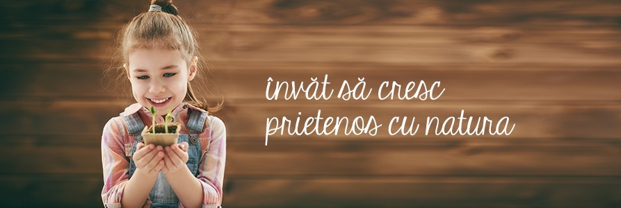 Activitati